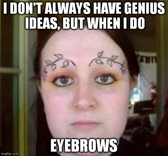 Commitment. It's what I DO. | I DON'T ALWAYS HAVE GENIUS IDEAS, BUT WHEN I DO EYEBROWS | image tagged in my mother wept,where do i see myself in five years,i don't do anything half assed,you shuld see my armpits,trust me i'm an artis | made w/ Imgflip meme maker