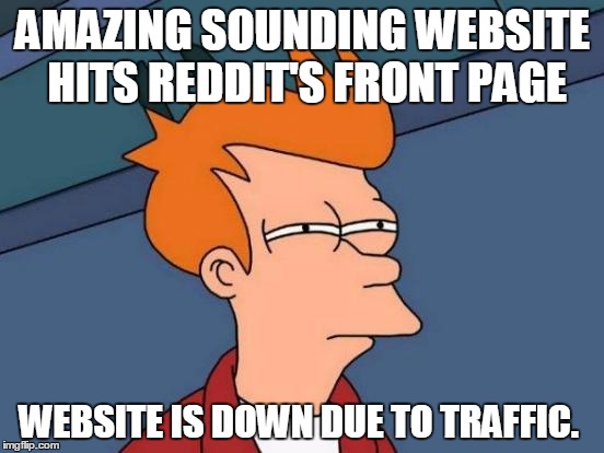 Futurama Fry | AMAZING SOUNDING WEBSITE HITS REDDIT'S FRONT PAGE WEBSITE IS DOWN DUE TO TRAFFIC. | image tagged in memes,futurama fry | made w/ Imgflip meme maker