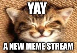 Happy cat | YAY A NEW MEME STREAM | image tagged in happy cat | made w/ Imgflip meme maker