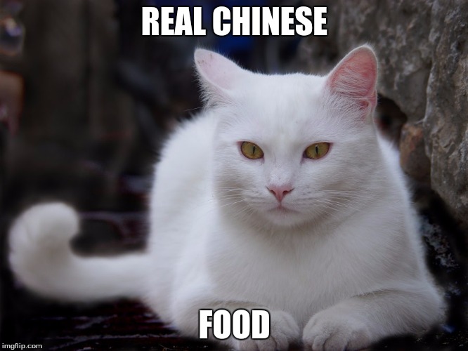 Wowza! | REAL CHINESE FOOD | image tagged in not racist,too funny,funny memes,chinese food | made w/ Imgflip meme maker