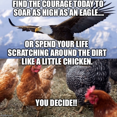 I choose to soar! Like if you agree. | FIND THE COURAGE TODAY TO SOAR AS HIGH AS AN EAGLE.... OR SPEND YOUR LIFE SCRATCHING AROUND THE DIRT LIKE A LITTLE CHICKEN. YOU DECIDE!! | image tagged in motivation,inspirational,inspiration,inspirational quote,power,strength | made w/ Imgflip meme maker