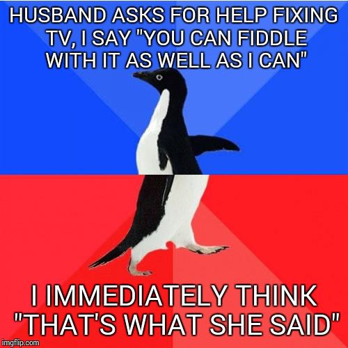 Socially Awkward Awesome Penguin Meme | HUSBAND ASKS FOR HELP FIXING TV, I SAY "YOU CAN FIDDLE WITH IT AS WELL AS I CAN" I IMMEDIATELY THINK "THAT'S WHAT SHE SAID" | image tagged in memes,socially awkward awesome penguin | made w/ Imgflip meme maker
