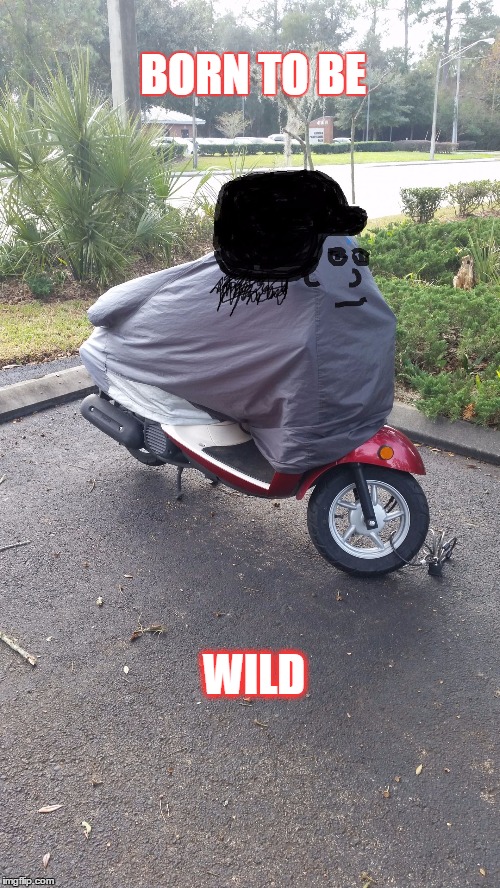 Scooterhead | BORN TO BE WILD | image tagged in scooterhead | made w/ Imgflip meme maker
