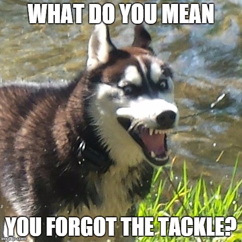 Angry Husky | WHAT DO YOU MEAN YOU FORGOT THE TACKLE? | image tagged in crazy husky,funny,fishing,angry,face,husky | made w/ Imgflip meme maker