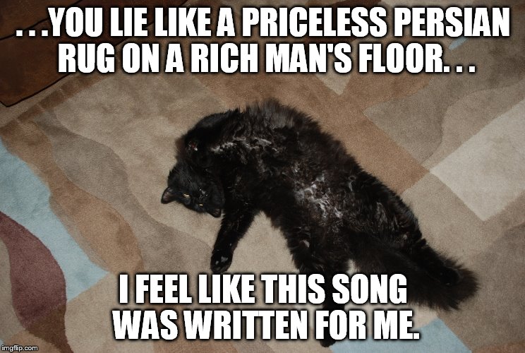 Lazy Cat | . . .YOU LIE LIKE A PRICELESS PERSIAN RUG ON A RICH MAN'S FLOOR. . . I FEEL LIKE THIS SONG WAS WRITTEN FOR ME. | image tagged in lazy cat,memes,cats | made w/ Imgflip meme maker