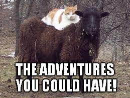 THE ADVENTURES YOU COULD HAVE! | made w/ Imgflip meme maker