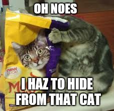 OH NOES I HAZ TO HIDE FROM THAT CAT | made w/ Imgflip meme maker