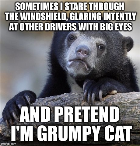 Confession Bear Meme | SOMETIMES I STARE THROUGH THE WINDSHIELD, GLARING INTENTLY AT OTHER DRIVERS WITH BIG EYES AND PRETEND I'M GRUMPY CAT | image tagged in memes,confession bear | made w/ Imgflip meme maker