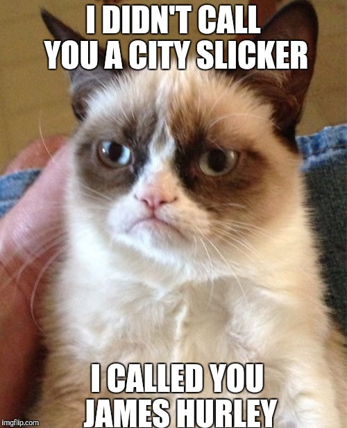 Grumpy Cat | I DIDN'T CALL YOU A CITY SLICKER I CALLED YOU JAMES HURLEY | image tagged in memes,grumpy cat | made w/ Imgflip meme maker