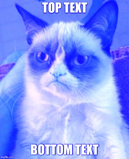 Grumpy Cat Meme | TOP TEXT BOTTOM TEXT | image tagged in memes,grumpy cat | made w/ Imgflip meme maker