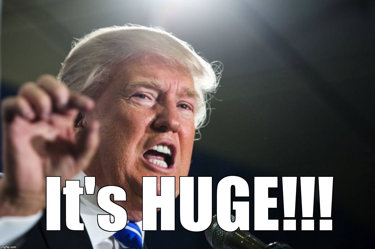 It's HUGE!!! image tagged in donald trump,huge made w/ Imgflip meme ma...