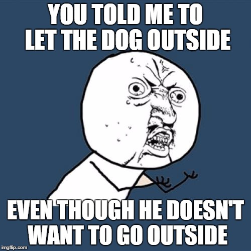 Y U No Meme | YOU TOLD ME TO LET THE DOG OUTSIDE EVEN THOUGH HE DOESN'T WANT TO GO OUTSIDE | image tagged in memes,y u no | made w/ Imgflip meme maker