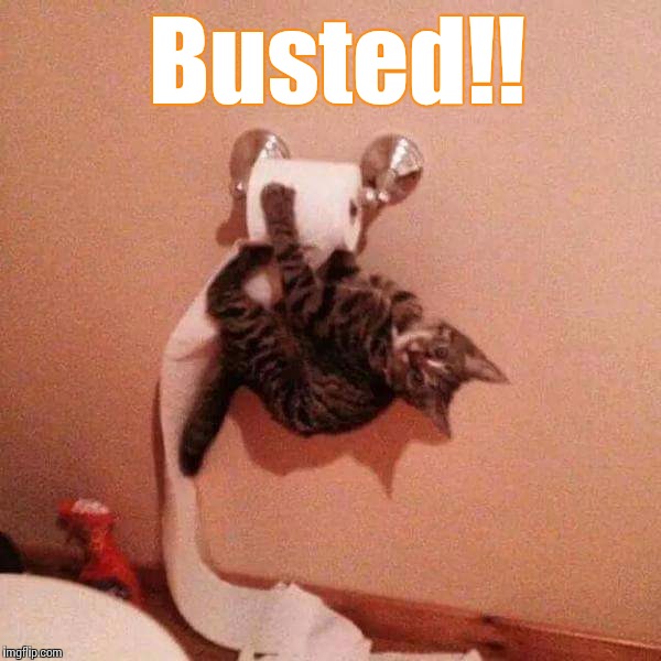 Busted | Busted!! | image tagged in busted | made w/ Imgflip meme maker