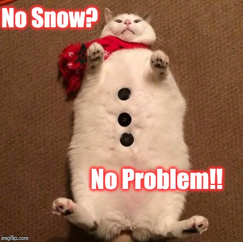 No Snow? | No Snow? No Problem!! | image tagged in no snow | made w/ Imgflip meme maker
