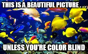 Under the Sea | THIS IS A BEAUTIFUL PICTURE . . . UNLESS YOU'RE COLOR BLIND | image tagged in memes,fish,funny memes | made w/ Imgflip meme maker