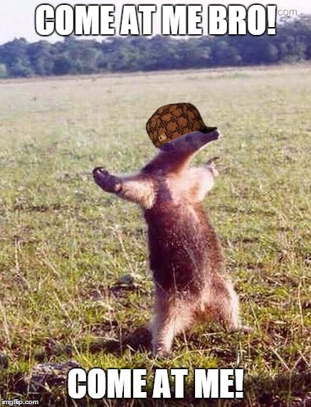 Motherfucking anteater  | COME AT ME BRO! COME AT ME! | image tagged in motherfucking anteater,scumbag | made w/ Imgflip meme maker