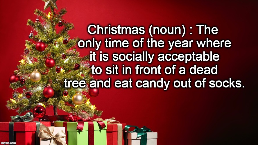 definition of Christmas | Christmas (noun) : The only time of the year where it is socially acceptable to sit in front of a dead tree and eat candy out of socks. | image tagged in christmas | made w/ Imgflip meme maker