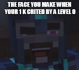 THE FACE YOU MAKE WHEN YOUR 1 K CRITED BY A LEVEL 0 | image tagged in the face you make when you get killed by _____ | made w/ Imgflip meme maker