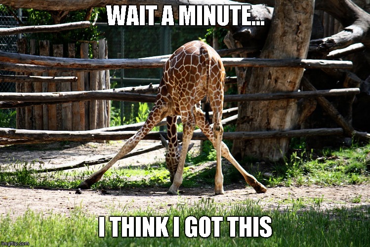 WAIT A MINUTE... I THINK I GOT THIS | made w/ Imgflip meme maker