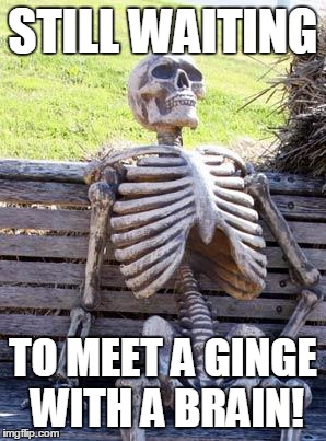 Waiting Skeleton Meme | STILL WAITING TO MEET A GINGE WITH A BRAIN! | image tagged in memes,waiting skeleton | made w/ Imgflip meme maker