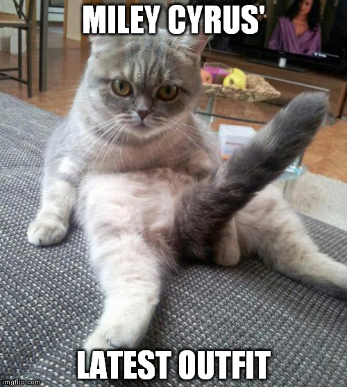 Sexy Cat | MILEY CYRUS' LATEST OUTFIT | image tagged in memes,sexy cat,miley cyrus,outfit | made w/ Imgflip meme maker