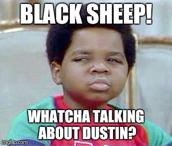 Whatchu Talkin' Bout, Willis? | BLACK SHEEP! WHATCHA TALKING ABOUT DUSTIN? | image tagged in whatchu talkin' bout willis? | made w/ Imgflip meme maker