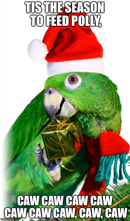 TIS THE SEASON TO FEED POLLY, CAW CAW CAW CAW CAW CAW CAW, CAW, CAW | image tagged in parrot | made w/ Imgflip meme maker