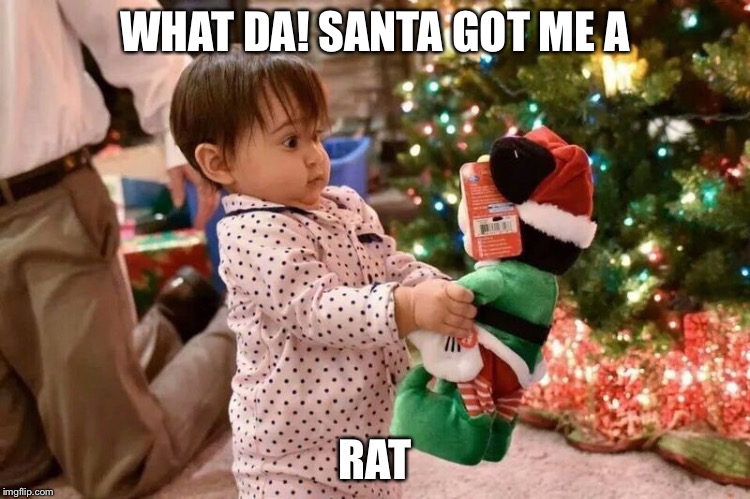 Meme | WHAT DA! SANTA GOT ME A RAT | image tagged in funny | made w/ Imgflip meme maker