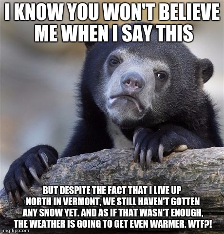 I WANT SNOW, DAMNIT!!!! | I KNOW YOU WON'T BELIEVE ME WHEN I SAY THIS BUT DESPITE THE FACT THAT I LIVE UP NORTH IN VERMONT, WE STILL HAVEN'T GOTTEN ANY SNOW YET. AND  | image tagged in memes,confession bear | made w/ Imgflip meme maker