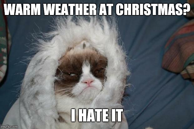 Cold grumpy cat  | WARM WEATHER AT CHRISTMAS? I HATE IT | image tagged in cold grumpy cat  | made w/ Imgflip meme maker