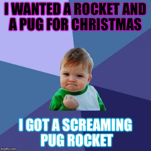 Success Kid Meme | I WANTED A ROCKET AND A PUG FOR CHRISTMAS I GOT A SCREAMING PUG ROCKET | image tagged in memes,success kid | made w/ Imgflip meme maker