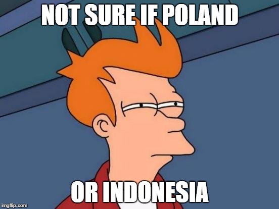 Flags | NOT SURE IF POLAND OR INDONESIA | image tagged in memes,futurama fry | made w/ Imgflip meme maker