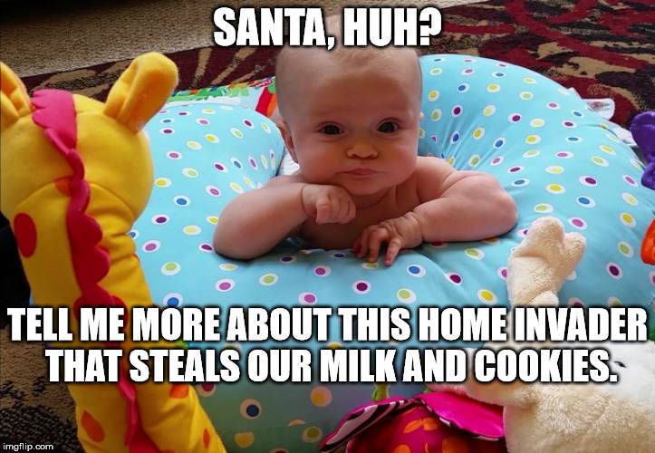 SANTA, HUH? TELL ME MORE ABOUT THIS HOME INVADER THAT STEALS OUR MILK AND COOKIES. | image tagged in tell me more | made w/ Imgflip meme maker