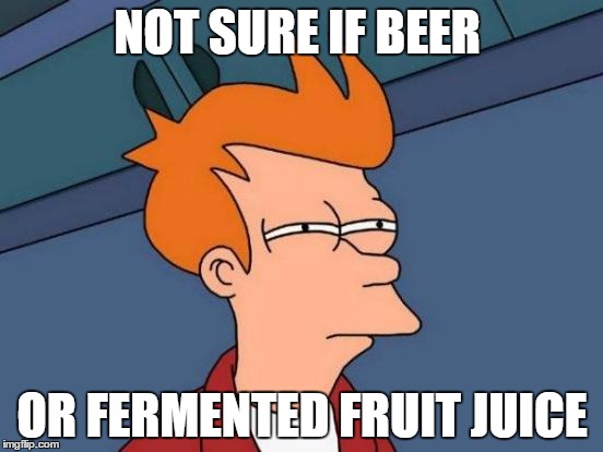Futurama Fry Meme | NOT SURE IF BEER OR FERMENTED FRUIT JUICE | image tagged in memes,futurama fry | made w/ Imgflip meme maker