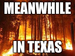 MEANWHILE IN TEXAS | made w/ Imgflip meme maker