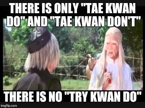 Bow to your sensei! | THERE IS ONLY "TAE KWAN DO" AND "TAE KWAN DON'T" THERE IS NO "TRY KWAN DO" | image tagged in sensei is japanese,tae kwan do is korean,this movie is chinese and kung fu,does this make me racist | made w/ Imgflip meme maker