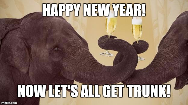 Happy New Year 2016 | HAPPY NEW YEAR! NOW LET'S ALL GET TRUNK! | image tagged in new years,elephants | made w/ Imgflip meme maker
