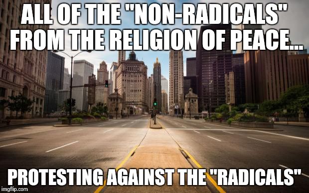 Empty Streets | ALL OF THE "NON-RADICALS" FROM THE RELIGION OF PEACE... PROTESTING AGAINST THE "RADICALS" | image tagged in empty streets | made w/ Imgflip meme maker