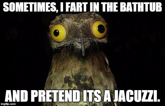 Weird Stuff I Do Potoo | SOMETIMES, I FART IN THE BATHTUB AND PRETEND ITS A JACUZZI. | image tagged in memes,weird stuff i do potoo | made w/ Imgflip meme maker
