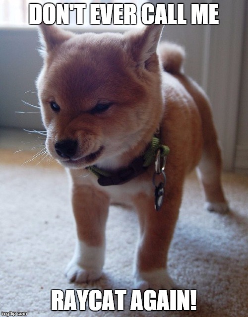 DON'T EVER CALL ME RAYCAT AGAIN! | image tagged in grumpy pup | made w/ Imgflip meme maker