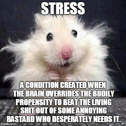 Stressed Mouse | STRESS A CONDITION CREATED WHEN THE BRAIN OVERRIDES THE BODILY PROPENSITY TO BEAT THE LIVING SHIT OUT OF SOME ANNOYING BASTARD WHO DESPERATE | image tagged in stressed mouse | made w/ Imgflip meme maker