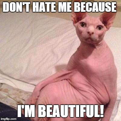 cat naked | DON'T HATE ME BECAUSE I'M BEAUTIFUL! | image tagged in cat naked | made w/ Imgflip meme maker