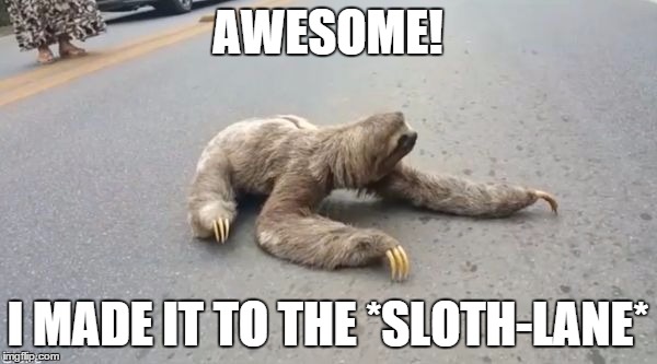 sloth on road | AWESOME! I MADE IT TO THE *SLOTH-LANE* | image tagged in sloth on road | made w/ Imgflip meme maker