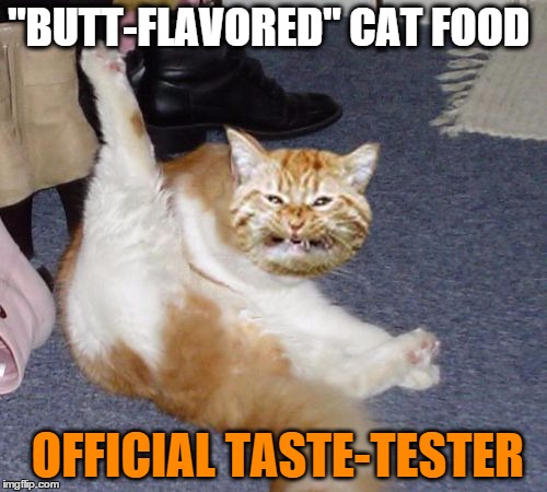 "BUTT-FLAVORED" CAT FOOD OFFICIAL TASTE-TESTER | image tagged in troll cat | made w/ Imgflip meme maker