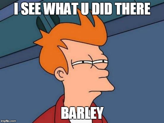 Futurama Fry Meme | I SEE WHAT U DID THERE BARLEY | image tagged in memes,futurama fry | made w/ Imgflip meme maker