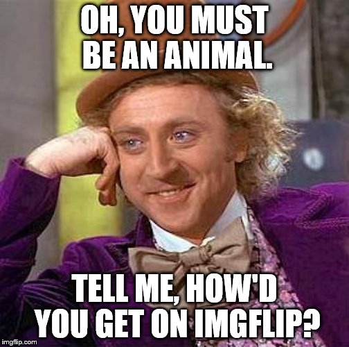 Creepy Condescending Wonka Meme | OH, YOU MUST BE AN ANIMAL. TELL ME, HOW'D YOU GET ON IMGFLIP? | image tagged in memes,creepy condescending wonka | made w/ Imgflip meme maker