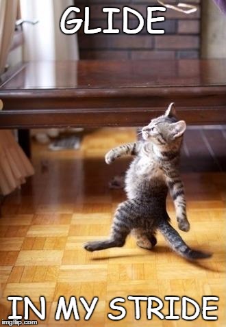 Cool Cat Stroll | GLIDE IN MY STRIDE | image tagged in memes,cool cat stroll | made w/ Imgflip meme maker