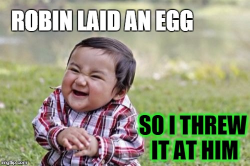 Evil Toddler Meme | ROBIN LAID AN EGG SO I THREW IT AT HIM | image tagged in memes,evil toddler | made w/ Imgflip meme maker