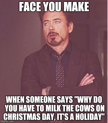 Face You Make Robert Downey Jr | FACE YOU MAKE WHEN SOMEONE SAYS "WHY DO YOU HAVE TO MILK THE COWS ON CHRISTMAS DAY, IT'S A HOLIDAY'' | image tagged in memes,face you make robert downey jr | made w/ Imgflip meme maker