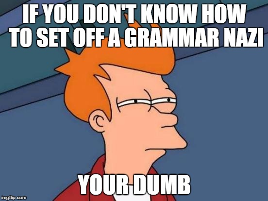It came to me in a dream, I hope it's not a repost. | IF YOU DON'T KNOW HOW TO SET OFF A GRAMMAR NAZI YOUR DUMB | image tagged in memes,futurama fry,grammar,grammar nazi | made w/ Imgflip meme maker